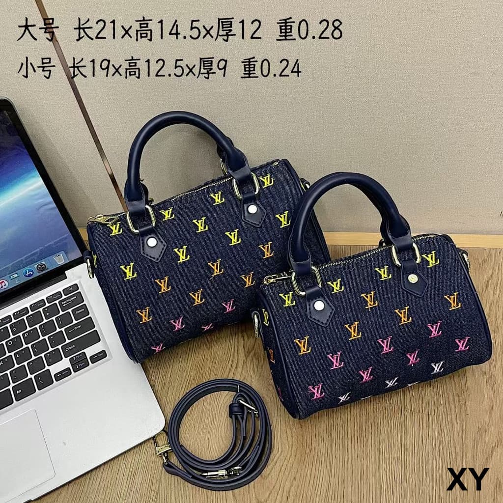 Louis Vuitton Multi-Color Embroidered Denim Speedy Bag (Small)
